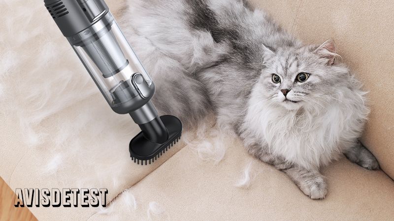 Lire la suite à propos de l’article SIMWAL Aspirateur à Main Avis