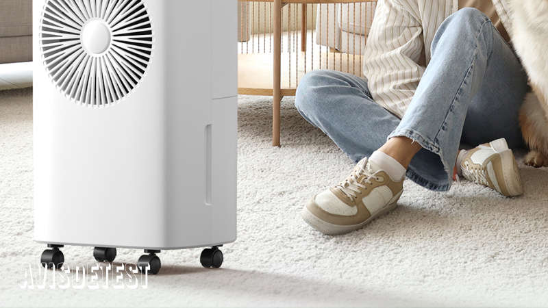 Déshumidificateur D'Air Électrique 12L/Jour - Drainage Continu, Mode Sommeil & Minuterie 24H - Idéal Pièces Humides