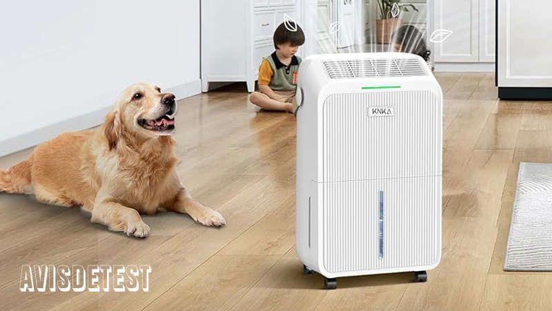 Lire la suite à propos de l’article KNKA Deshumidificateur d Air, 16L/J Avis
